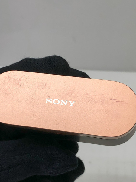 SONY ワイヤレスノイズキャンセリングイヤフォン 