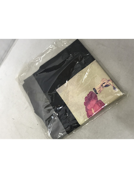 その他グッズ 美少女その他 HIMEHINA 初回限定版 1st/2stアルバムセット