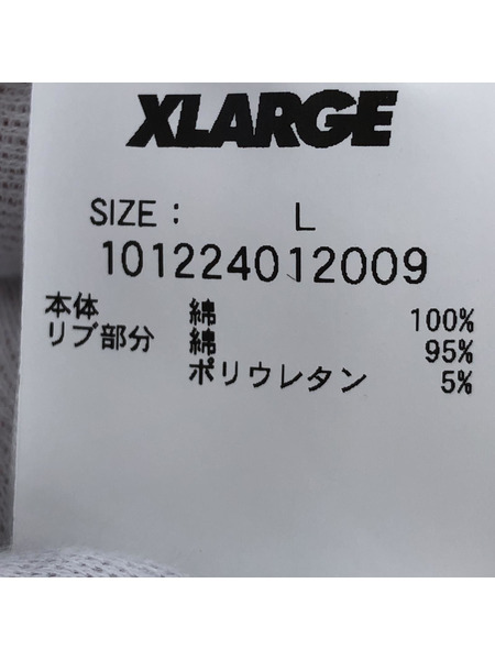 XLARGE FLOWER PULLOVER HOODED SWEAT (L) 101224012009