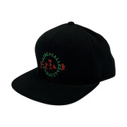 STUSSY A Tribe Called Quest Cap