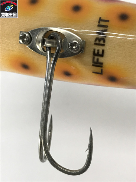 ライフベイト デルタポッパー