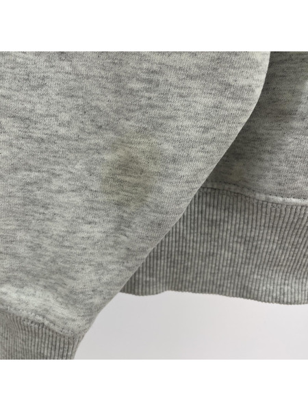 STUSSY パーカー POパーカー[値下]