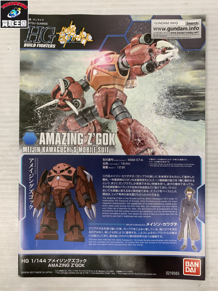 ガンプラ HG 1/144 アメイジングズゴック