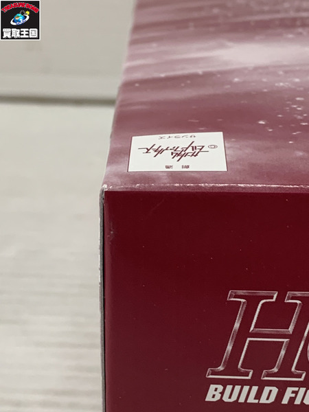 ガンプラ HG 1/144 アメイジングズゴック