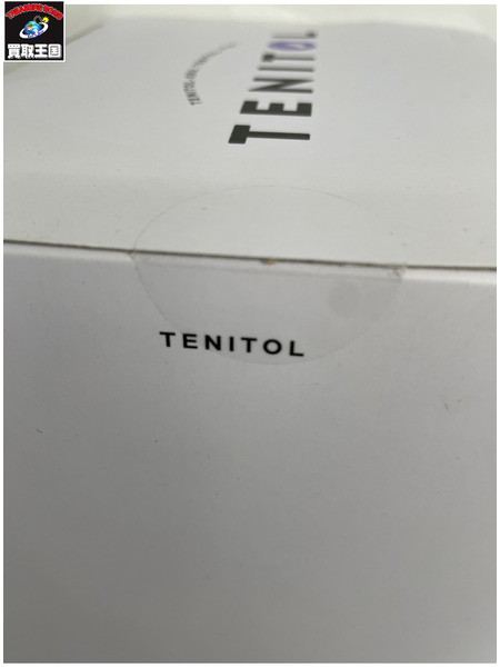 メーカー 美少女その他 TENITOL 魔女の旅々 イレイナ 完成品フィギュア