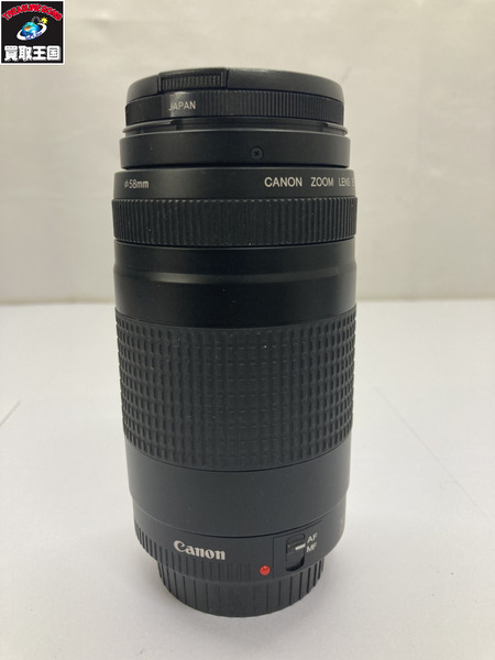 CANON ZOOM LENS EF 75-300mm 望遠ズームレンズ 