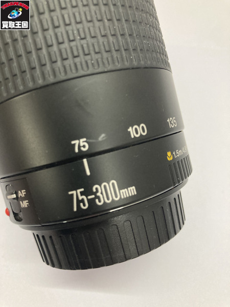 CANON ZOOM LENS EF 75-300mm 望遠ズームレンズ 