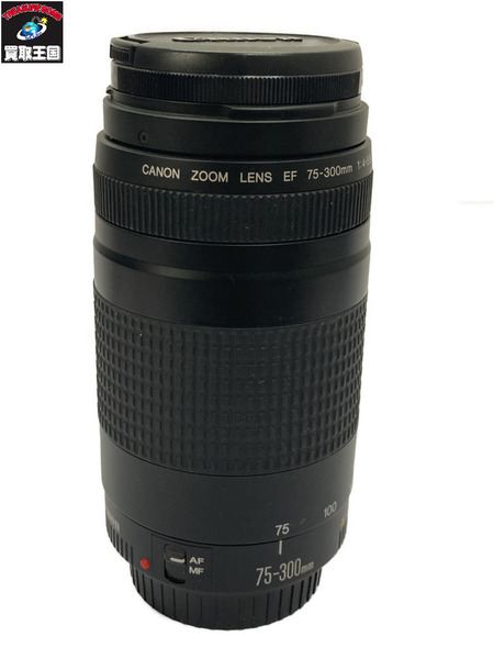 CANON ZOOM LENS EF 75-300mm 望遠ズームレンズ 