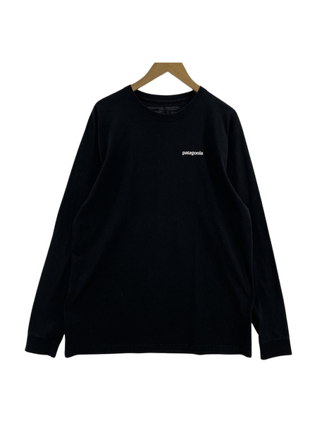 patagonia REGULAR FIT LS カットソー L