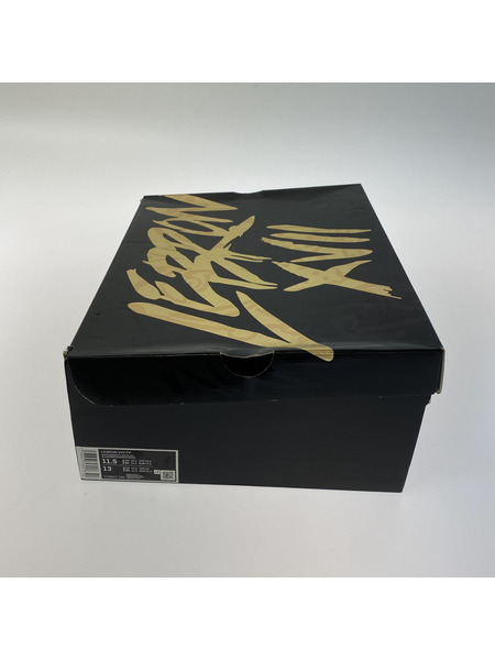 NIKE LEBRON 17 GRAFFITI 29.5cm