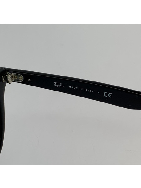 Ray-Ban ソノ他 RB 4259-F