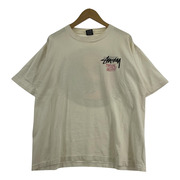 STUSSY 90s 黒タグ ラスタライオンTee USA製 (L)