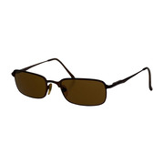 Ray-Ban サングラス W3135