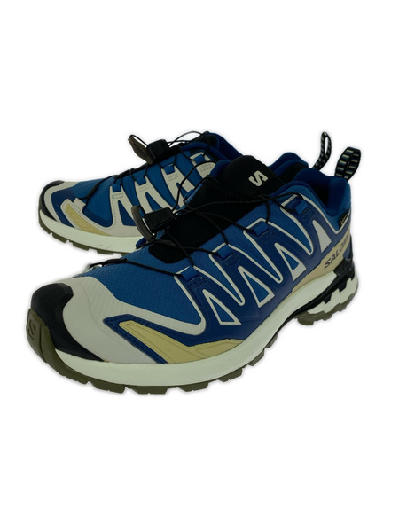 SALOMON スニーカー XA Pro 3D V9 GTX ローカットスニーカー(25.5)青