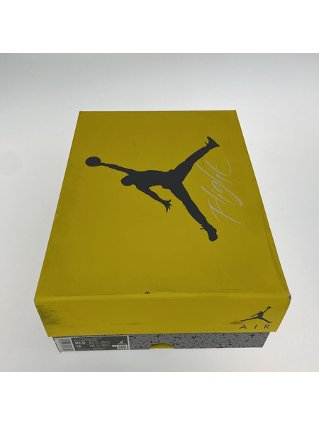 NIKE/AIR JORDAN 4 RETRO/28.5cm/CT8527-700