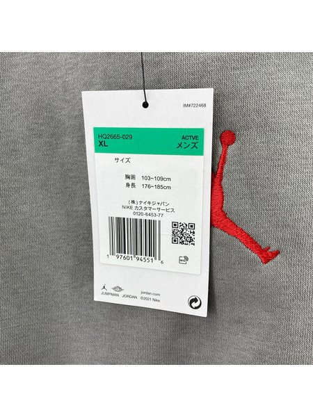 NIKE パーカー Jordan Brooklyn Fleece Hoodie/GEY/XL