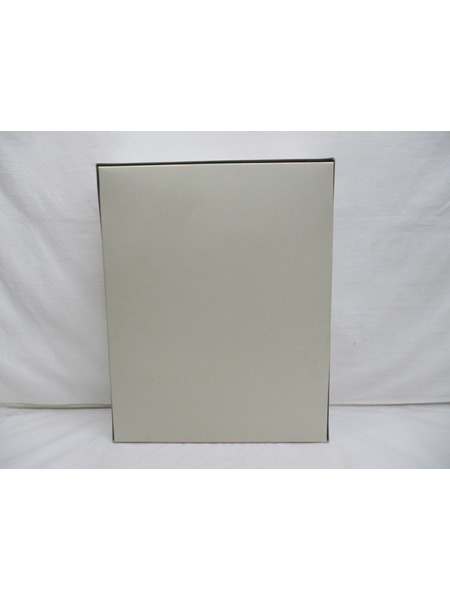 ガンプラ MG  シナンジュ Ver.ka. チタニウムフィニッシュ