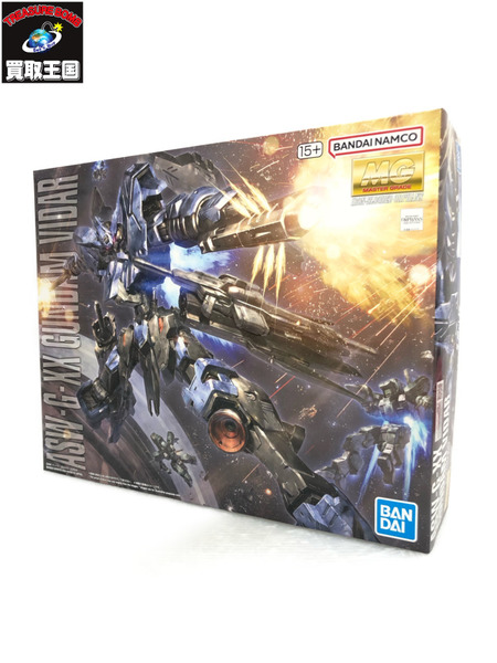 MG 1/100 ガンダムヴィダール