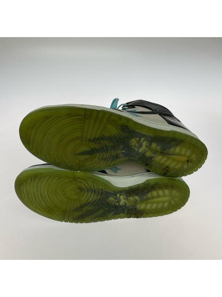 NIKE スニーカー Dunk High サンタナ（30㎝）