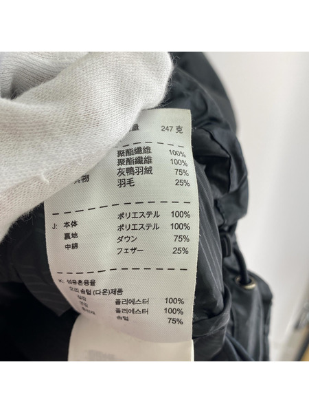 NIKE ダウンジャケット 550フィル ダウンジャケット (L)[値下]