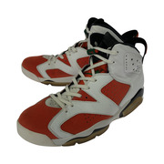 NIKE AIR JORDAN 6 RETRO オレンジ (31cm) 384664-145