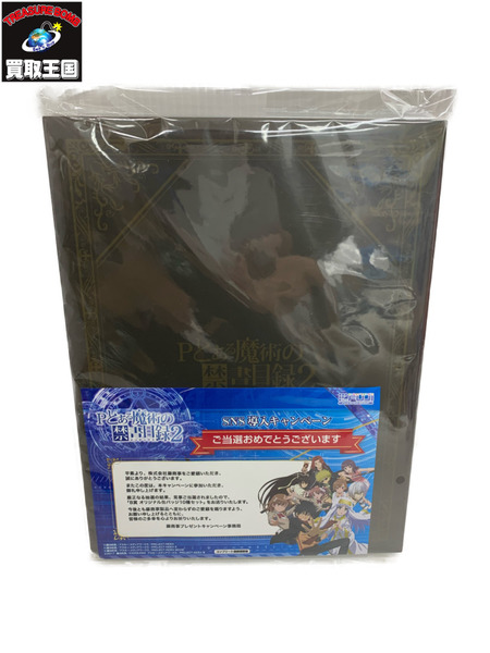 Pとある禁書目録2 B賞 オリジナル缶バッジ10個セット SNS導入キャンペーン当選品