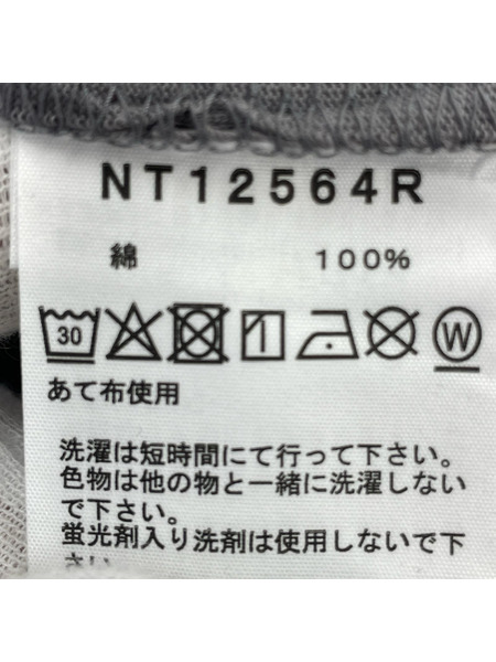 THE NORTH FACE 半袖Tシャツ・カットソー JPN Graphic Tee グレー (S)
