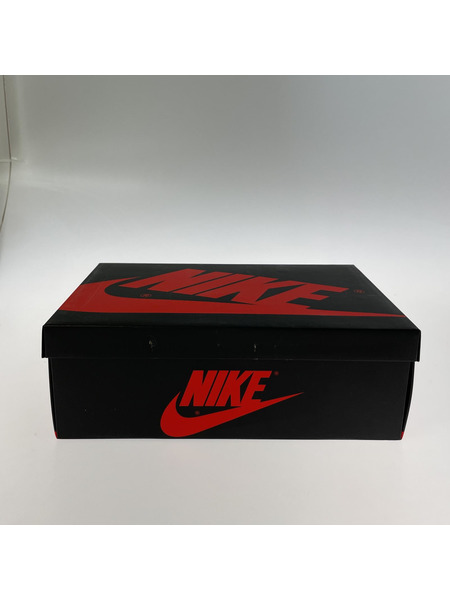 NIKE スニーカー AJ 1 RETRO HIGH OG (28.5cm)