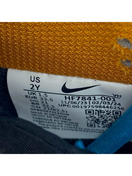 NIKE キッズ靴 SB PS Dunk Low Pro 2Y 21.0cm