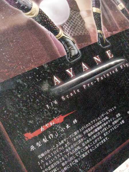 メーカー ゲーム系その他 NINJA GAIDEN あやめ