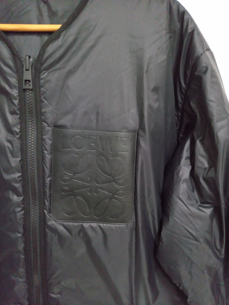 LOEWE/GORE-TEX マウンテンパーカー ダウン 52