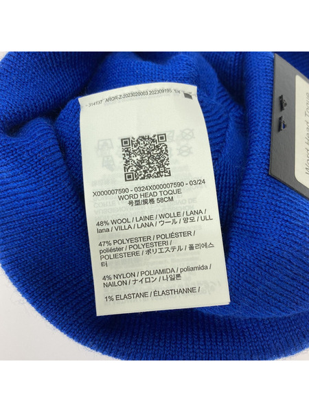 ARC'TERYX Word Head Toque Vitality ロゴビーニー ニット帽 青