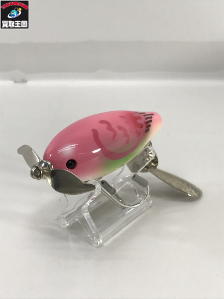 チムシ 沼海馬