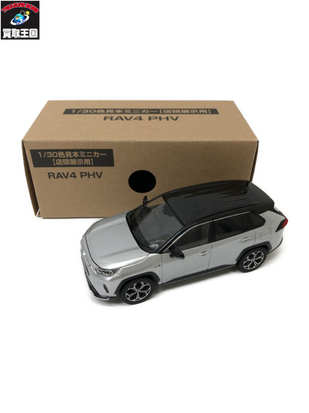 カラーサンプル　1/30　RAV4 PHV