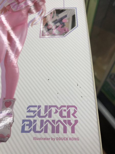 Super Bunny Illustrated by DDU