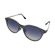 Ray-Ban サングラス RB4334D