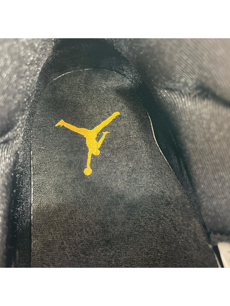 NIKE スニーカー Air Jordan 11 Retro Gamma 黒 (29.0cm)