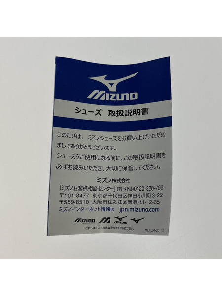 MIZUNO×Hiroshi Nagai Wave Rider β 26.0cm