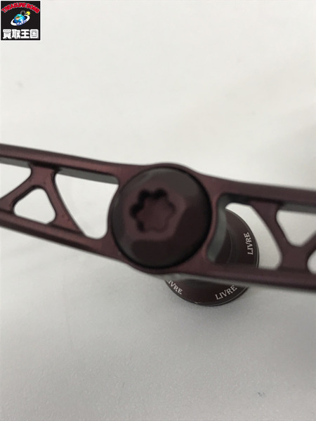 LIVRE WING100　blast red