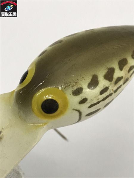 ストーム ウイグルワート シマドジョウ[値下]