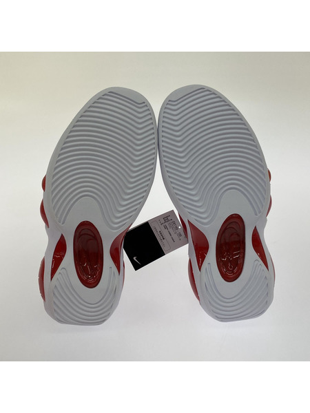 Nike Air Zoom Flight 95 True Red DX1165-100 (26.5)