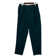 THE NORTH FACE Mountain Color Pant 緑 S