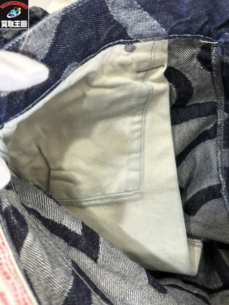EVISU Lot.5500 カラーネップカモメ