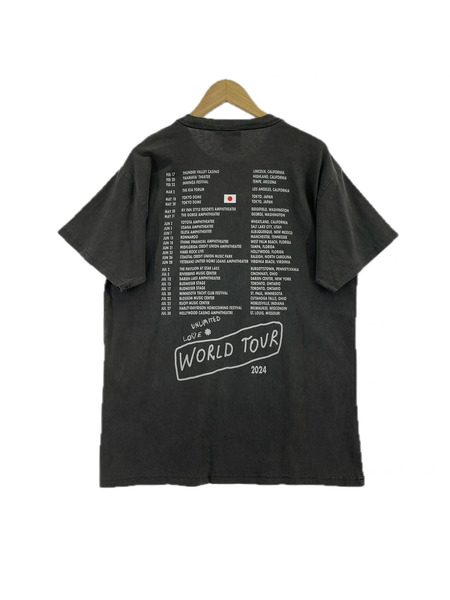 501 半袖Tシャツ・カットソー RED HOT CHILI PEPPERS 東京限定 2024 (L)