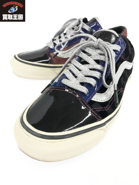 VANS　FEATURE　25.0[値下]