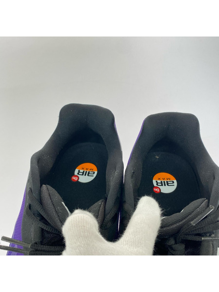 NIKE スニーカー Air Max DN8 "Fierce Purple" 28.5