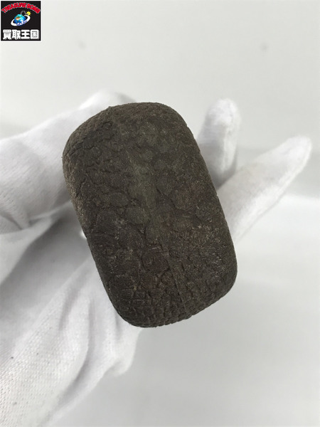 フジグリップ ラバーガン