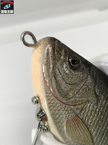 a.h.p.l　アングリーギル フナ