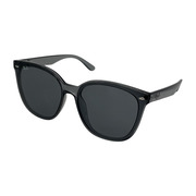 Ray-Ban RB4423D サングラス