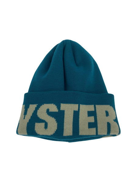 HYSTERIC GLAMOUR 22AW ロゴワッチビーニー ニット帽 F 青 02223QH02